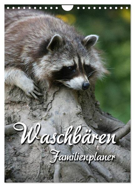 Produktbild: Waschb&auml;ren Familienplaner (Wandkalender 2026 DIN A4 hoch), CALVENDO Monatskalender