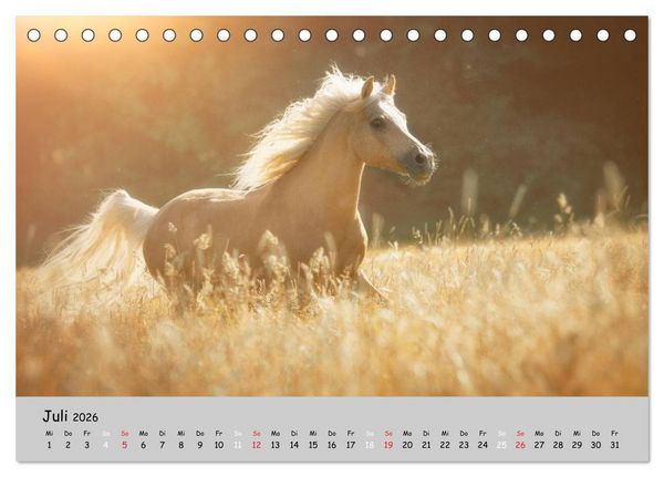 Produktbild: Pferde - Anmut und St&auml;rke gepaart mit Magie (Tischkalender 2026 DIN A5 quer), CALVENDO Monatskalender