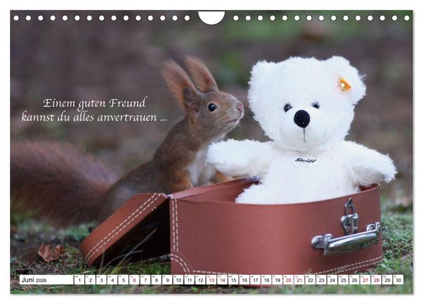 Produktbild: Tipps von Eichh&ouml;rnchen an Eichh&ouml;rnchenliebhaber (Wandkalender 2026 DIN A4 quer), CALVENDO Monatskalender