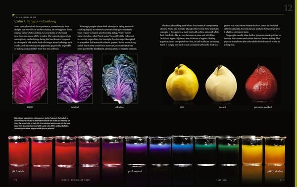 Produktbild: Modernist Cuisine: The Art and Science of Cooking