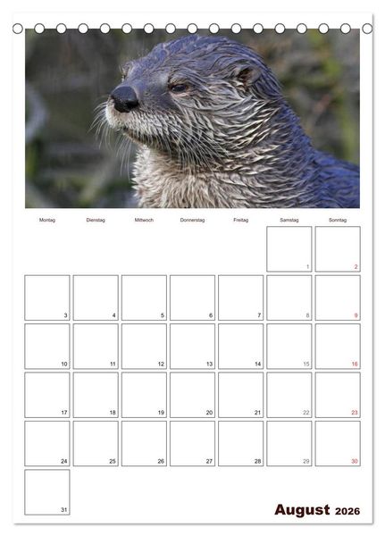 Produktbild: Der Fischotter-Terminplaner (Tischkalender 2026 DIN A5 hoch), CALVENDO Monatskalender