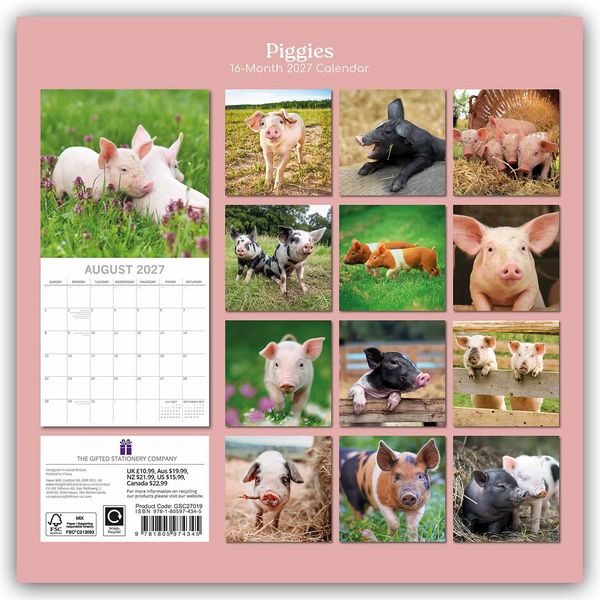 Produktbild: Piggies &ndash; Ferkel Schweine 2027 &ndash; 16-Monatskalender
