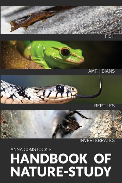 Produktbild: The Handbook Of Nature Study in Color - Fish, Reptiles, Amphibians, Invertebrates