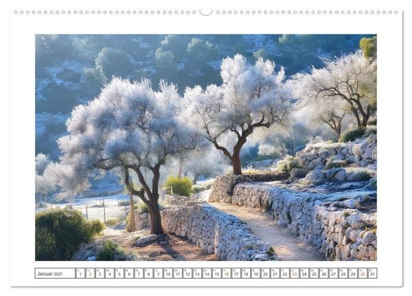 Produktbild: Die Magie der Olivenhaine (Wandkalender 2027 DIN A2 quer), CALVENDO Monatskalender