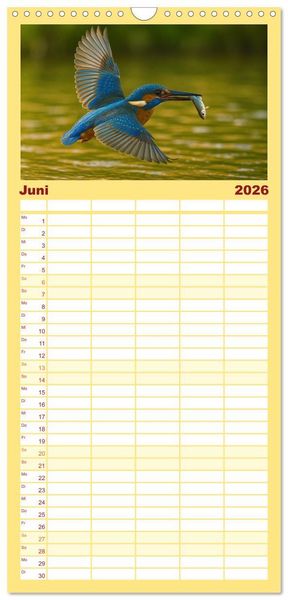 Produktbild: Familienplaner 2026 - Eisvogeltr&auml;ume am Wasser mit 5 Spalten (Wandkalender, 21 x 45 cm) CALVENDO