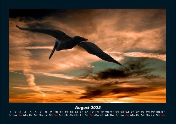 Produktbild: Bilder aus der Natur 2025 Fotokalender DIN A4