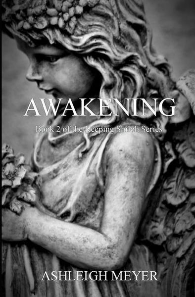 Produktbild: Awakening: Book 2 of the Keeping Shiloh Series