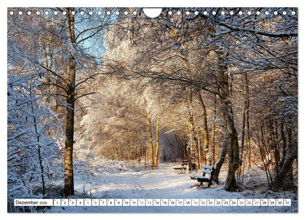 Produktbild: Wege gehen... (Wandkalender 2026 DIN A4 quer), CALVENDO Monatskalender