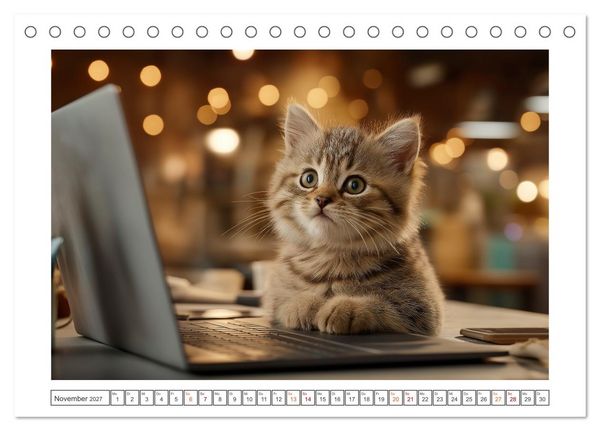 Produktbild: Miau macht gl&uuml;cklich (Tischkalender 2027 DIN A5 quer), CALVENDO Monatskalender