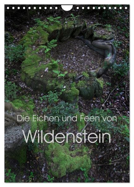 Produktbild: Die Eichen und Feen von Wildenstein (Wandkalender 2026 DIN A4 hoch), CALVENDO Monatskalender