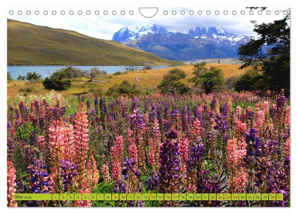 Produktbild: M&auml;rchenwelt Patagonien (Wandkalender 2026 DIN A4 quer), CALVENDO Monatskalender