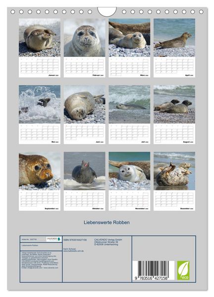 Produktbild: Liebenswerte Robben (Wandkalender 2026 DIN A4 hoch), CALVENDO Monatskalender