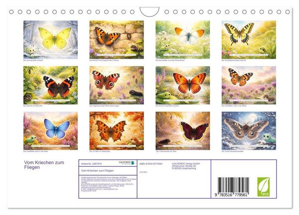 Produktbild: Vom Kriechen zum Fliegen (Wandkalender 2027 DIN A4 quer), CALVENDO Monatskalender