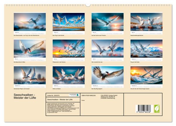 Produktbild: Seeschwalben - Meister der L&uuml;fte (hochwertiger Premium Wandkalender 2026 DIN A2 quer), Kunstdruck in Hochglanz
