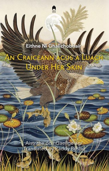 Produktbild: Under Her Skin / An Craiceann Agus a Luach