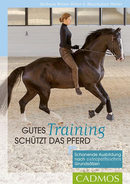 Gutes Training schützt das Pferd