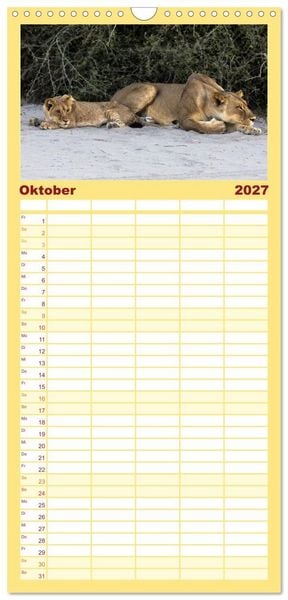 Produktbild: Familienplaner 2027 - L&ouml;wen in Botswana und S&uuml;dafrika mit 5 Spalten (Wandkalender, 21 x 45 cm) CALVENDO