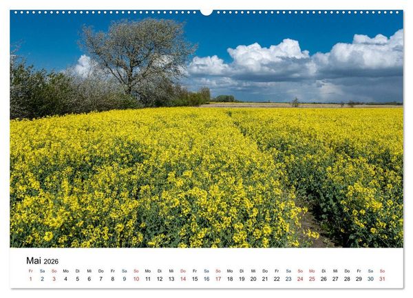 Produktbild: Unterwegs in Nordfriesland (hochwertiger Premium Wandkalender 2026 DIN A2 quer), Kunstdruck in Hochglanz