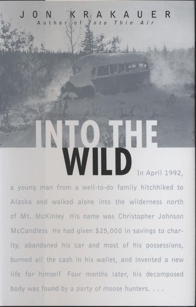 Produktbild: Into the Wild