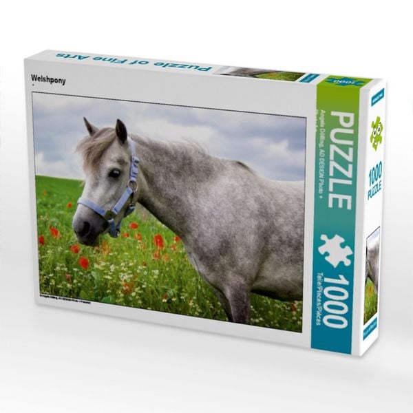 CALVENDO Puzzle Welshpony | 1000 Teile Lege-Größe 64x48cm Foto-Puzzle für glückliche Stunden