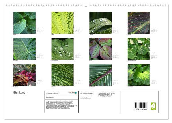Produktbild: Blattkunst (hochwertiger Premium Wandkalender 2026 DIN A2 quer), Kunstdruck in Hochglanz
