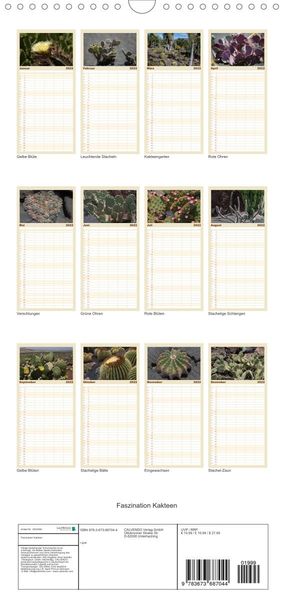 Produktbild: Familienplaner Faszination Kakteen (Wandkalender 2022 , 21 cm x 45 cm, hoch)
