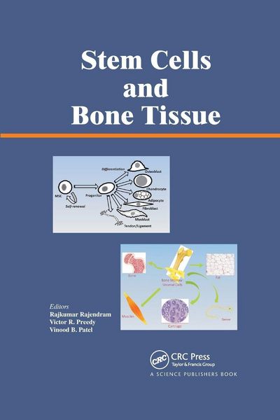 Produktbild: Stem Cells and Bone Tissue