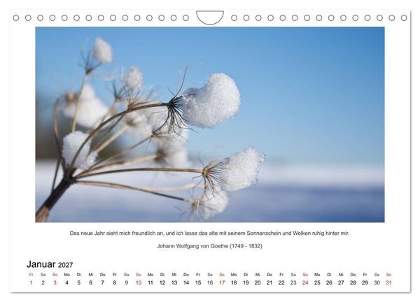 Produktbild: Der Naturkalender mit Zitaten und Spr&uuml;chen (Wandkalender 2027 DIN A4 quer), CALVENDO Monatskalender