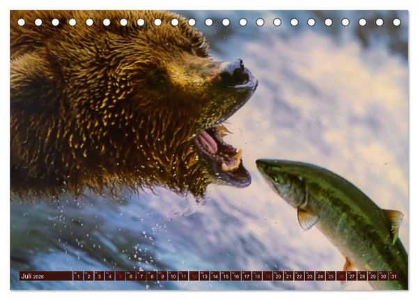 Produktbild: B&auml;ren (Tischkalender 2026 DIN A5 quer), CALVENDO Monatskalender