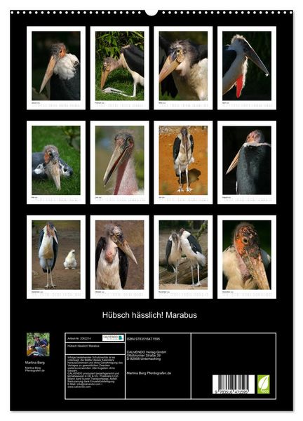 Produktbild: H&uuml;bsch h&auml;sslich! Marabus (hochwertiger Premium Wandkalender 2026 DIN A2 hoch), Kunstdruck in Hochglanz