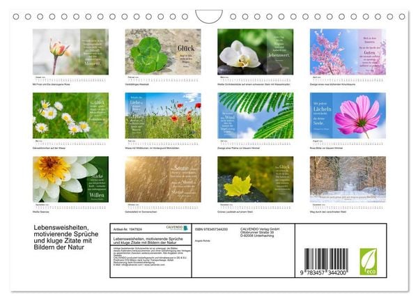 Produktbild: Lebensweisheiten, motivierende Spr&uuml;che und kluge Zitate mit Bildern der Natur (Wandkalender 2026 DIN A4 quer), CALVENDO Monatskalender