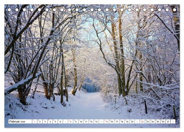 Produktbild: Traumhafte Wege durch die Eifel (Tischkalender 2026 DIN A5 quer), CALVENDO Monatskalender
