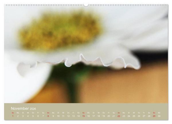 Produktbild: Fantastische Reise in die Welt der Blumen (Wandkalender 2026 DIN A2 quer), CALVENDO Monatskalender