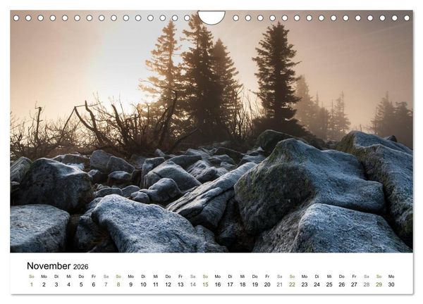 Produktbild: Traumlandschaften im Bayrischen Wald (Wandkalender 2026 DIN A4 quer), CALVENDO Monatskalender