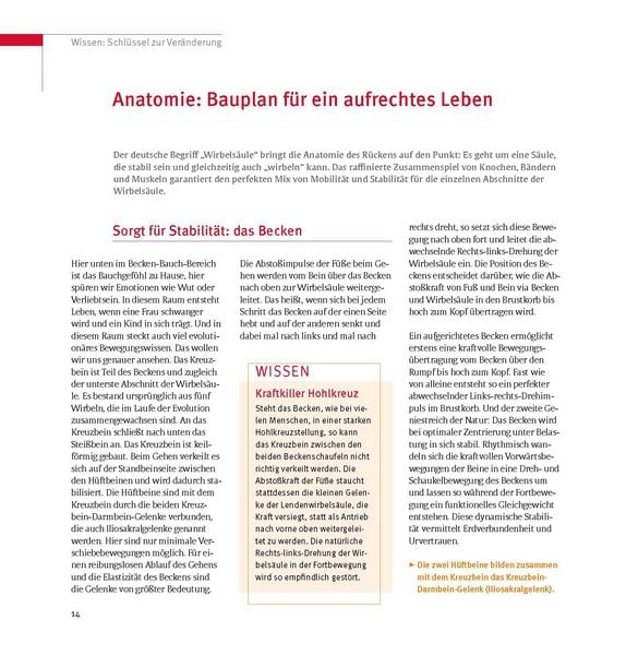 Produktbild: Skoliose - Aufrecht durch Bewegung