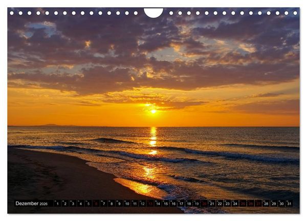 Produktbild: Camargue - Im Land der wei&szlig;en Pferde und schwarzen Stiere (Wandkalender 2026 DIN A4 quer), CALVENDO Monatskalender