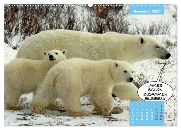 Produktbild: Lustige Eisb&auml;ren (Wandkalender 2026 DIN A2 quer), CALVENDO Monatskalender