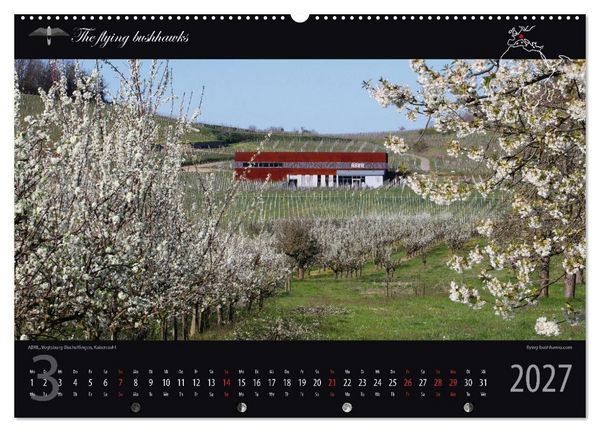 Produktbild: Wein & Architektur 2027 (hochwertiger Premium Wandkalender 2027 DIN A2 quer), Kunstdruck in Hochglanz
