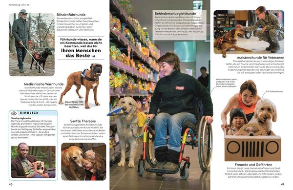 Produktbild: memo Wissen. Hunde