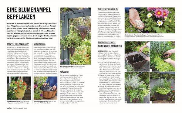 Grünes Gartenwissen. Gärtnern mit wenig Aufwand