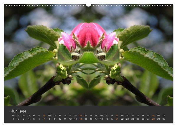 Produktbild: Spiegelwelten - Im Reich der Naturwesen (hochwertiger Premium Wandkalender 2026 DIN A2 quer), Kunstdruck in Hochglanz