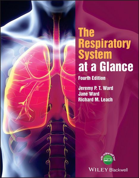 Produktbild: The Respiratory System at a Glance