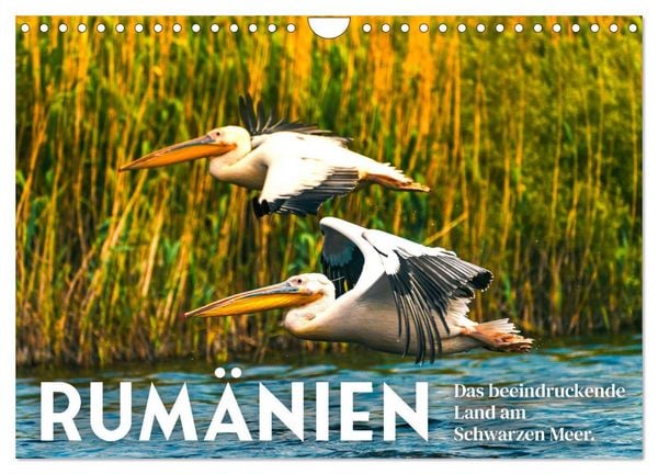 Produktbild: Rum&auml;nien - Das beeindruckende Land am Schwarzen Meer. (Wandkalender 2026 DIN A4 quer), CALVENDO Monatskalender