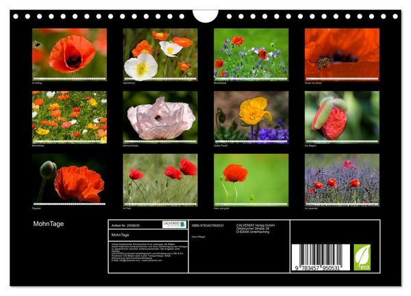 Produktbild: MohnTage (Wandkalender 2026 DIN A4 quer), CALVENDO Monatskalender
