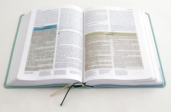 Produktbild: Sein Wort - meine Welt. Lederausgabe