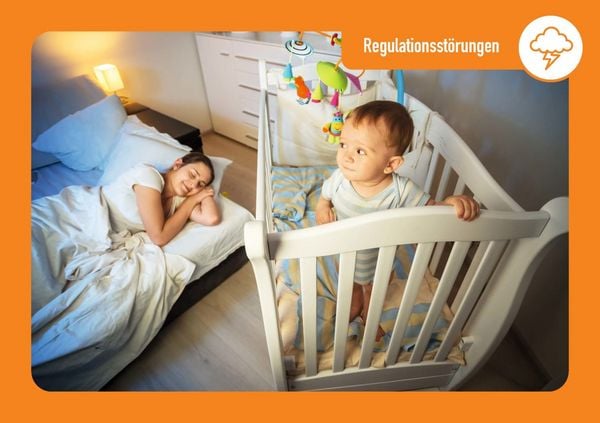 Produktbild: Selbstregulation: Emotionale Entwicklung von Kindern begleiten