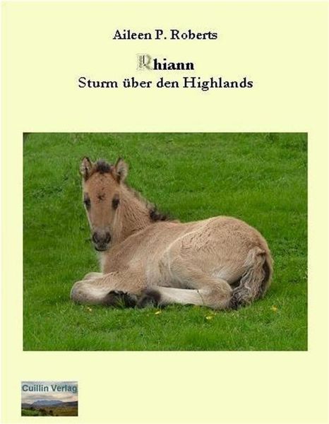 Produktbild: Rhiann - Sturm &uuml;ber den Highlands