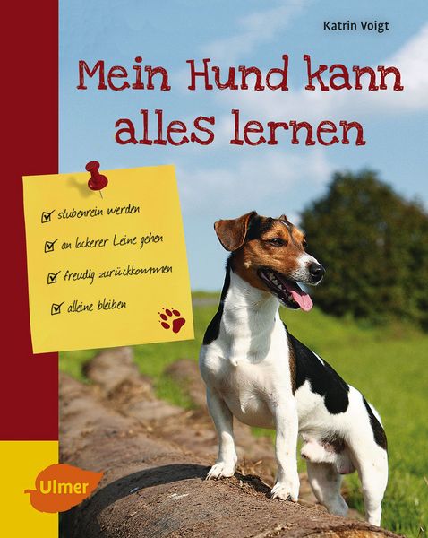 Produktbild: Mein Hund kann alles lernen