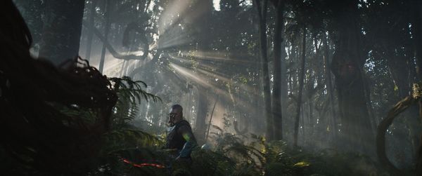 Produktbild: Predator: Badlands (4K Ultra HD) (+ Blu-ray)