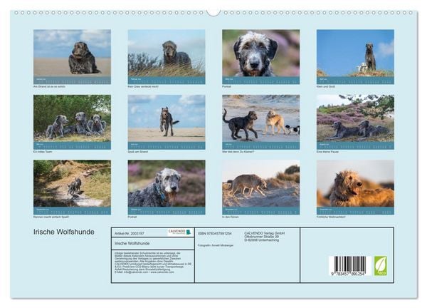 Produktbild: Irische Wolfshunde (Wandkalender 2026 DIN A2 quer), CALVENDO Monatskalender